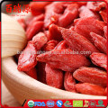 Top quality goji fruit goji berries dried goji with low pasiticide